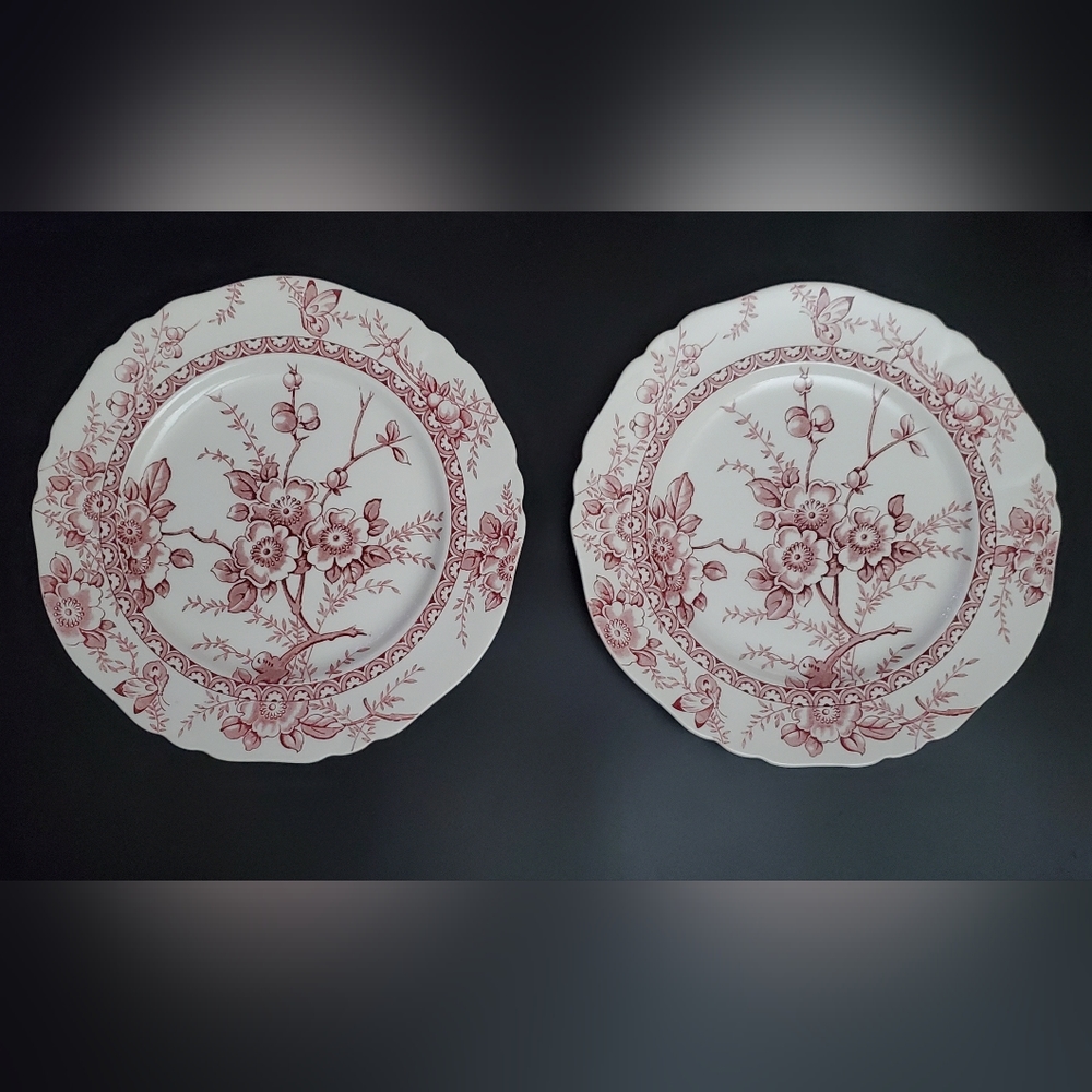 Vntg (2) 10" Pink Red on White "Medway" Decor Alfred Meakin 🇬🇧 England